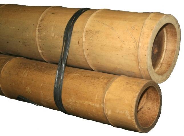 Bambou déco disponible à Bordeaux 33000