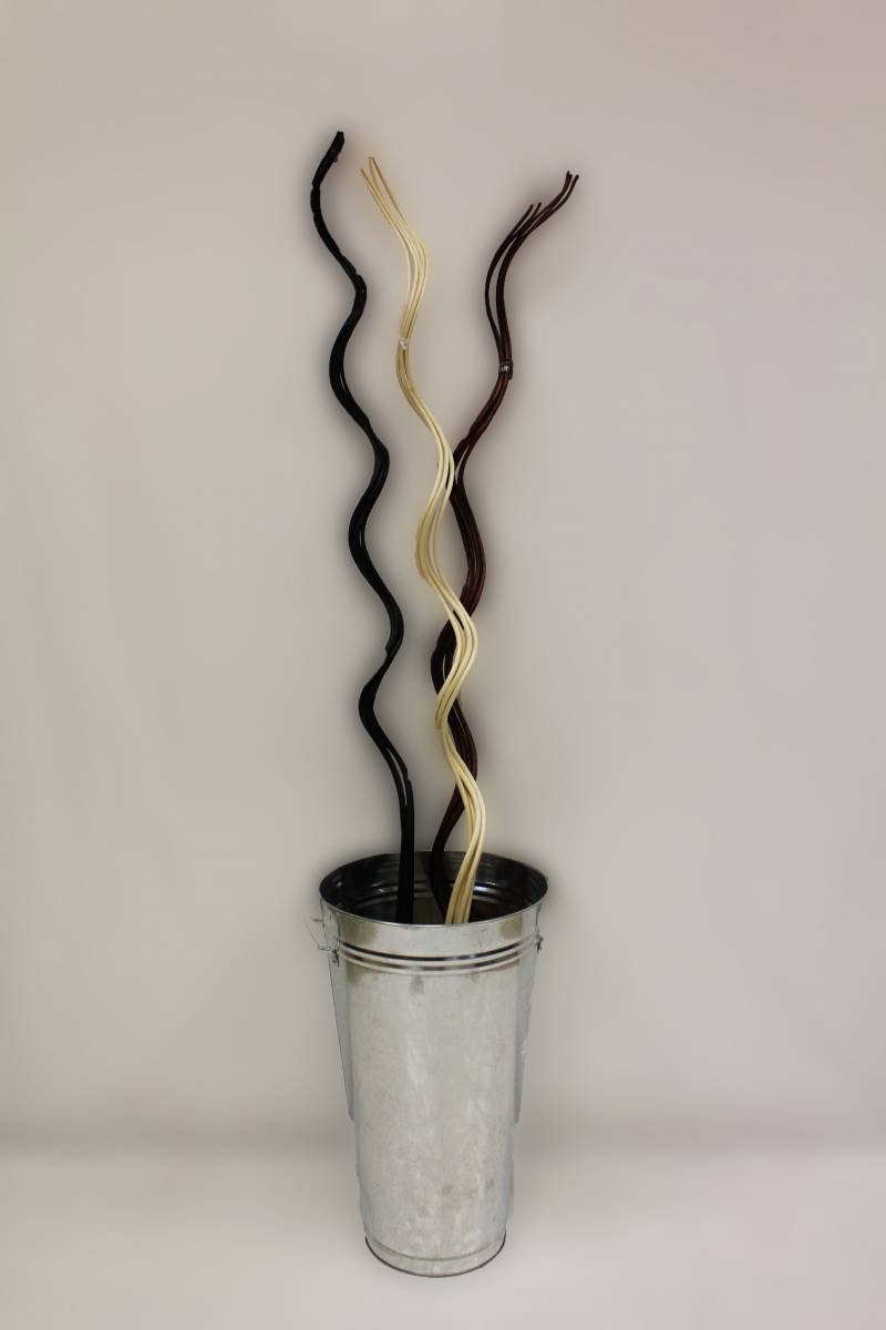 Curly noir, blanc et marron dans vase en zinc, disponible à Angers 49000