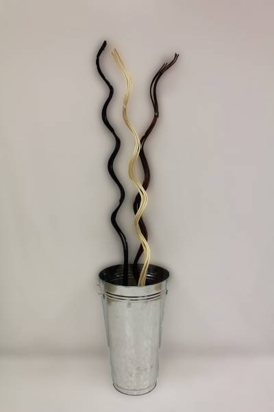 Curly noir, blanc et marron dans vase en zinc, disponible à Angers 49000