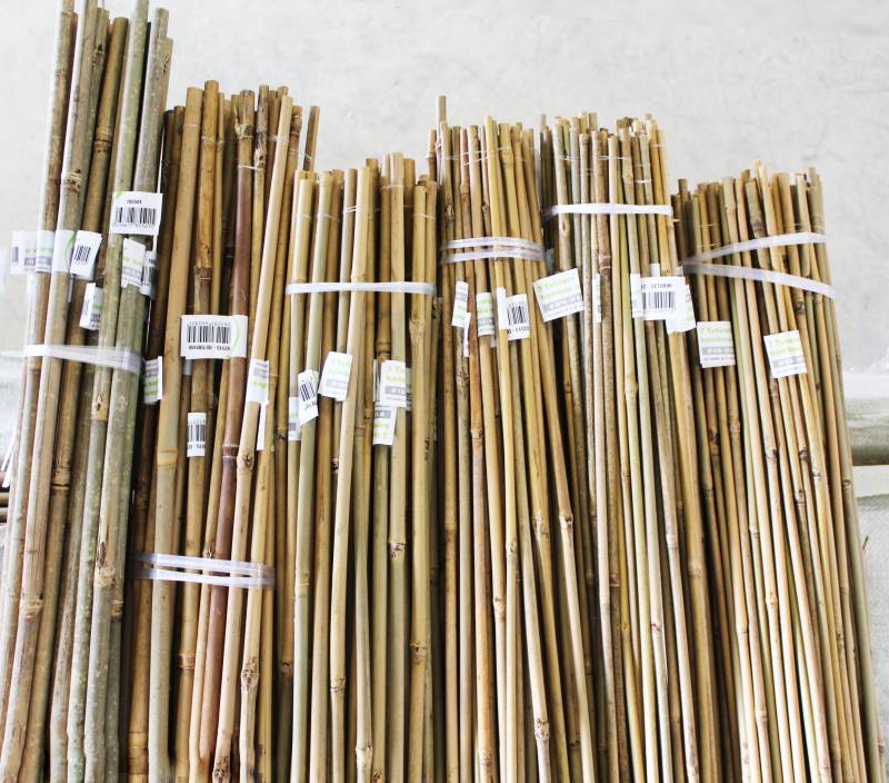 Botte de tuteurs bambou avec gencod disponible près d'Aix en Provence 13100 Bouches du Rhône