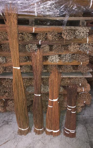 VENTE DE EN GROS D'OSIER BRUT D'ESPAGNE A ANGERS 49000