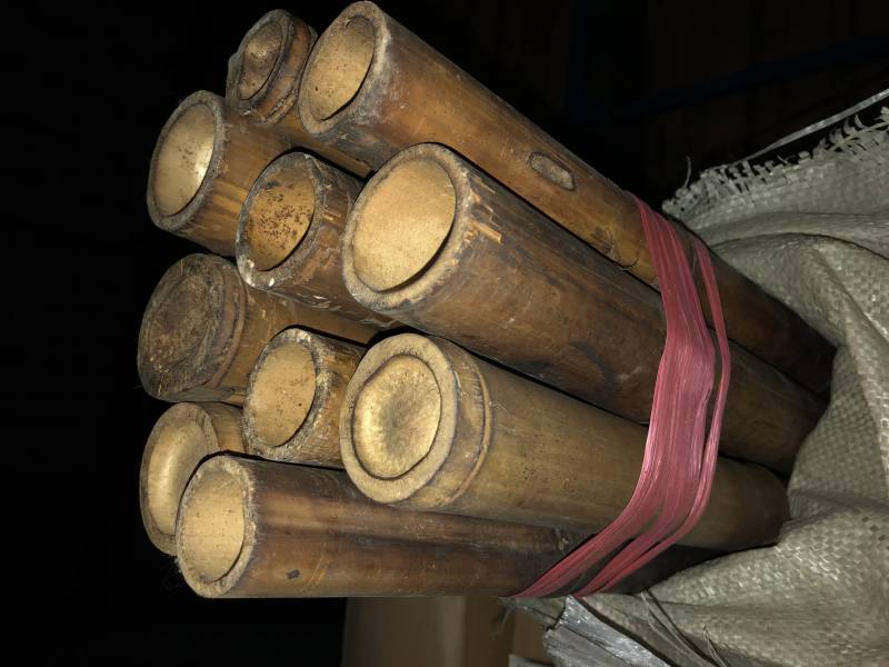 Vente de balle de 10 bambou brun  sur toute la France, disponible à Dijon 21000